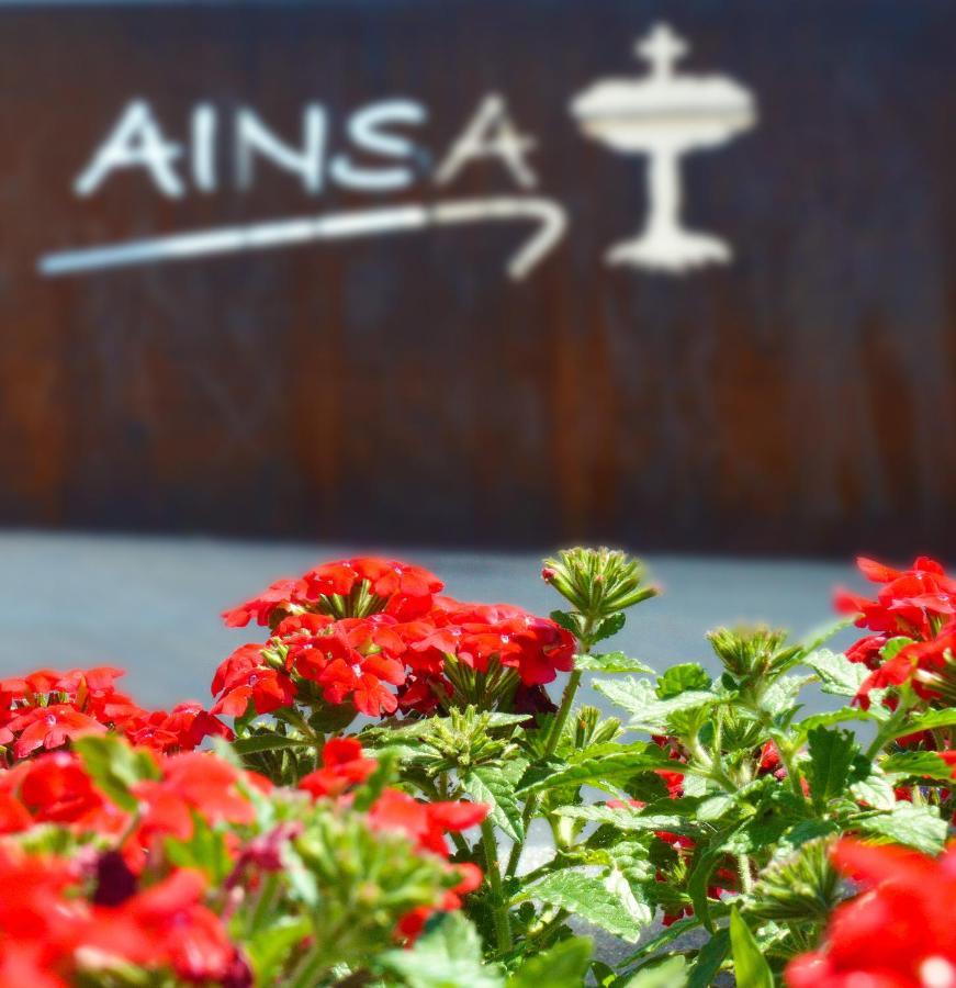 Guest House Ainsa Pirineos Extérieur photo